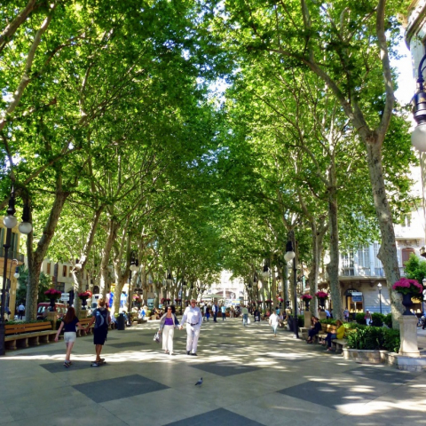 Passeig del Born 