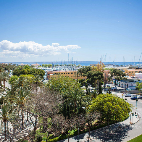 VIEW_C.Hostal Cuba Palma 