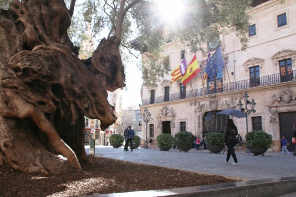 Ayuntamiento de Palma