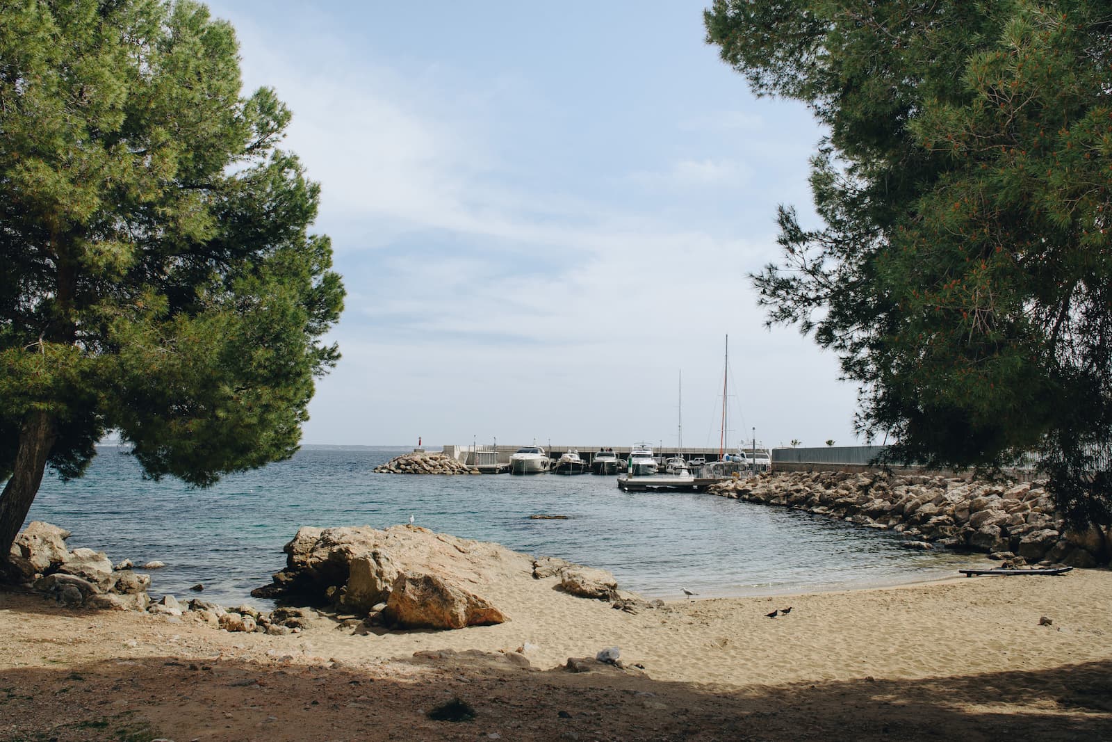 Cala Nova Palma