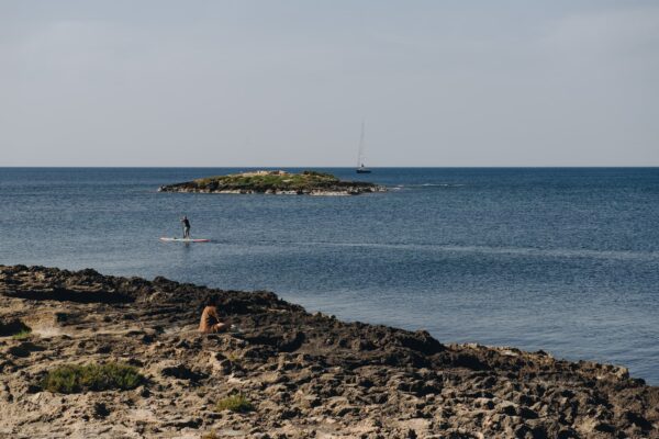 Paddle surf