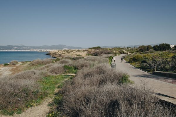Paseo Es Carnatge