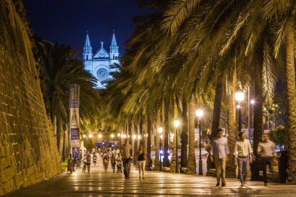 Vive Palma