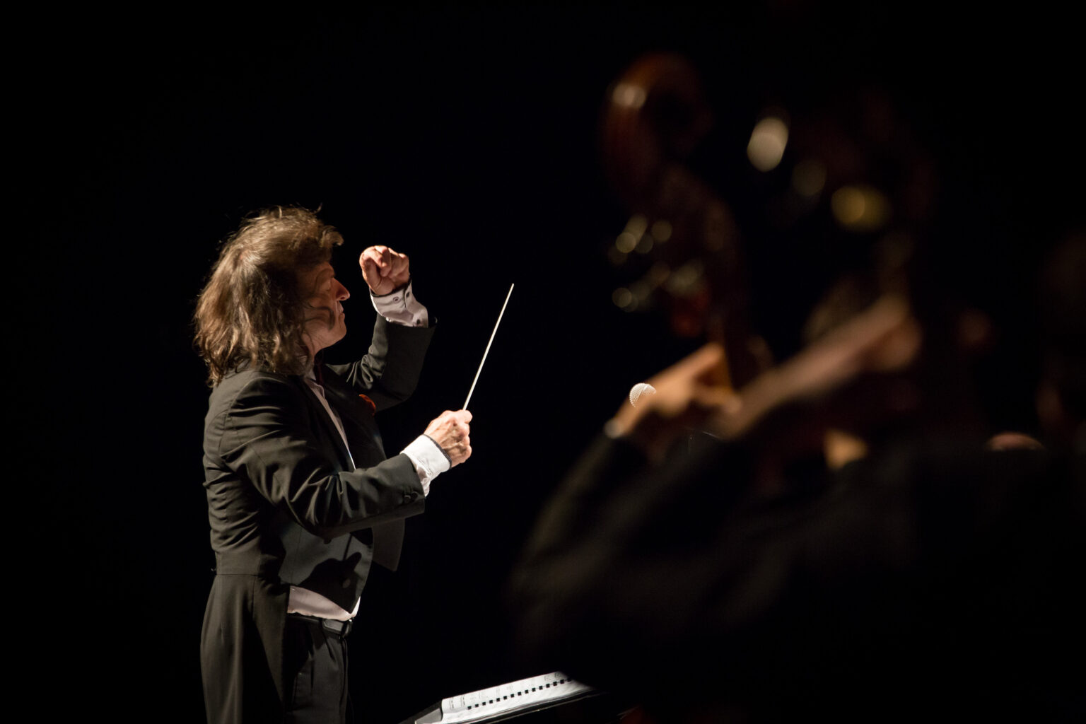 Concierto Camerata France