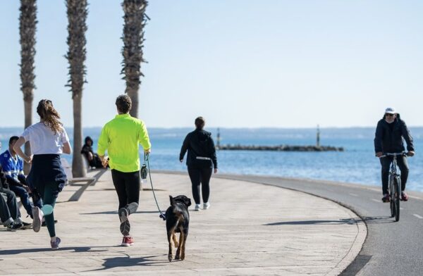 Running Bahía de Palma