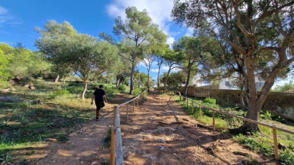 Running Parc de Bellver