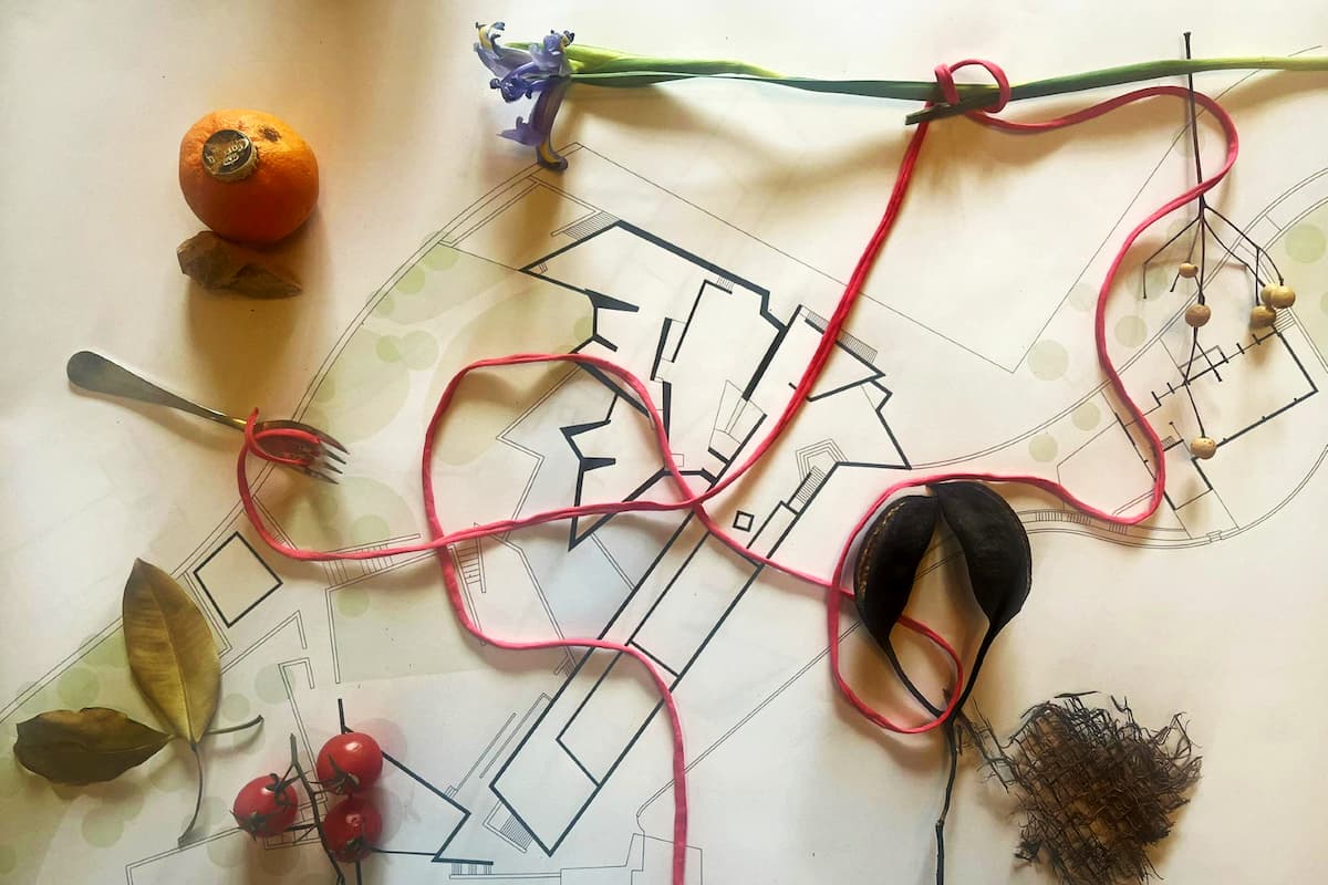 GUSPIRES EN CAMÍ – Practicar l’art del passeig