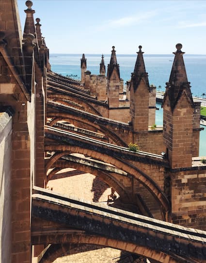 Terraza Catedral Mallorca