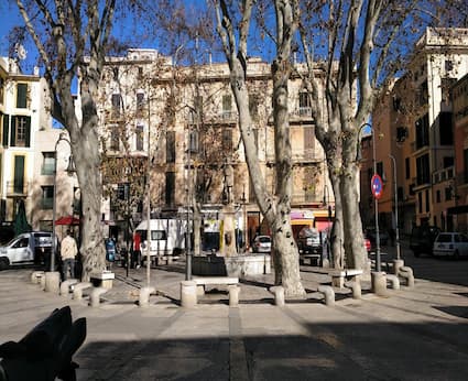 Tour Palma Marítima